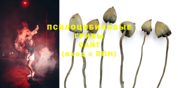 винт Бугульма