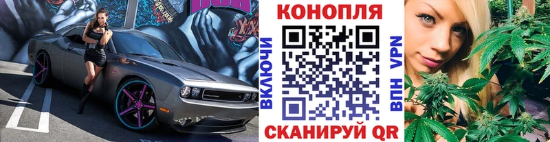 Бошки Шишки индика  Шилка 